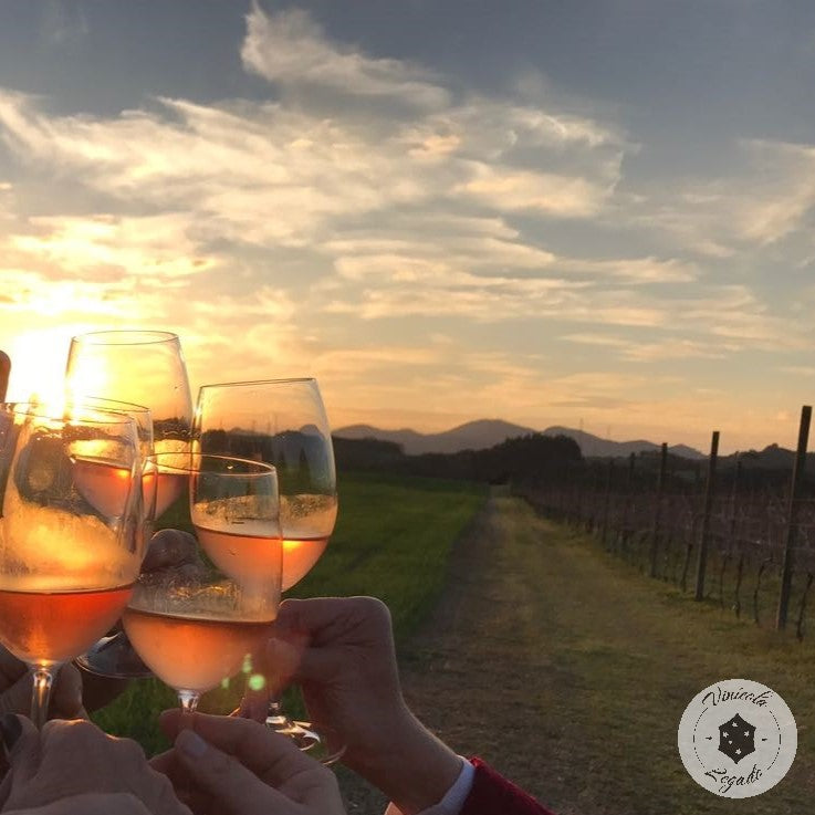 Os 4 maiores mitos sobre os vinhos rosés