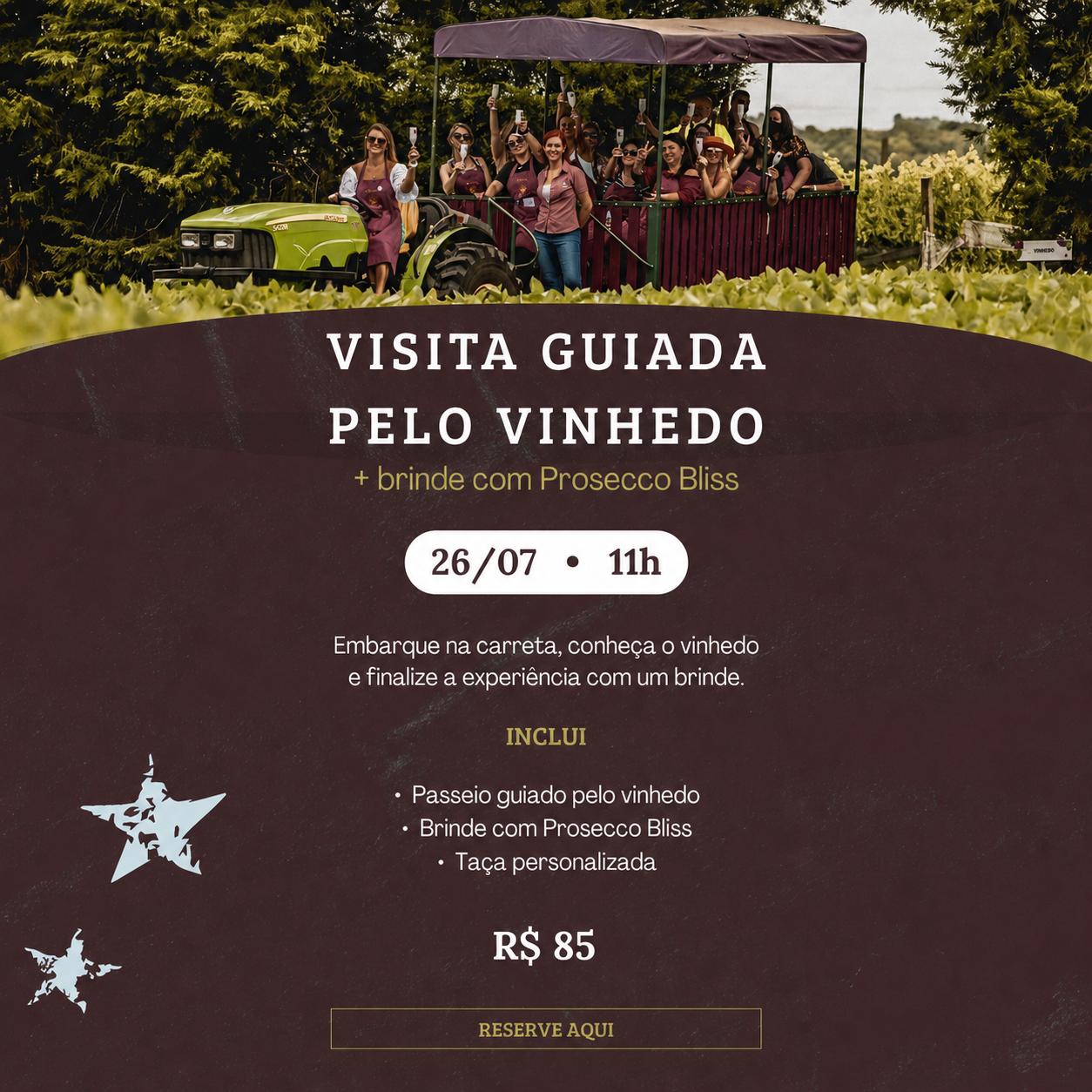 Visita guiada + brinde no vinhedo
